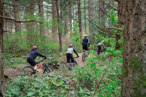 Base Camp Summer Hours and Programs new bike fleet ride on the trails