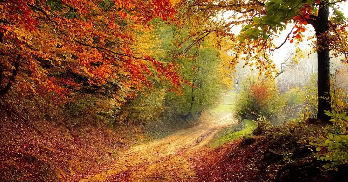 Turning Leaves Turning Wheels A Fall Foliage Cycling Ride showcasing a trail with strong changes in autumn colors