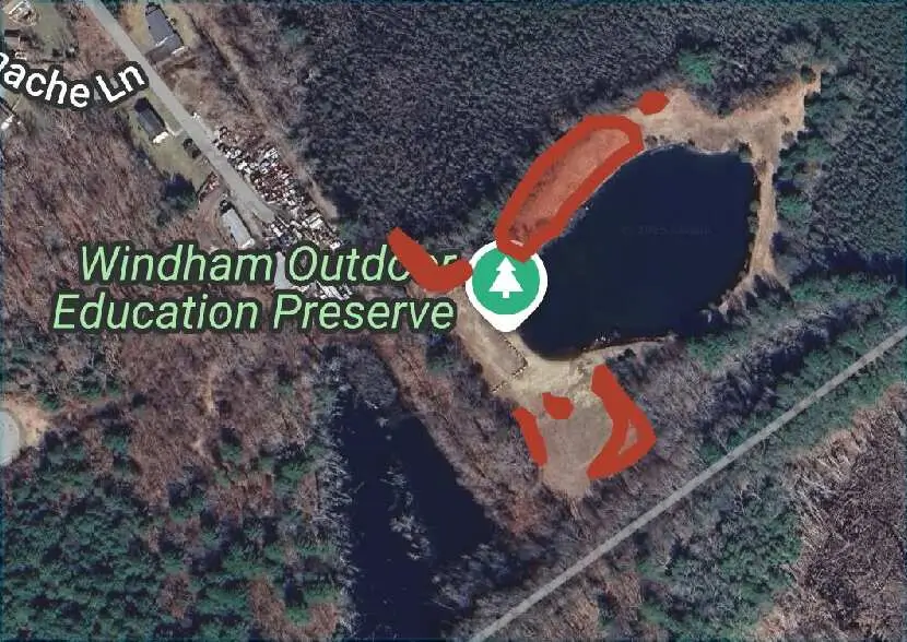 Windham Outdoor Education Preserve Environmental Impact Program Knotweed Map Showing all of the invasive locations at the preserve